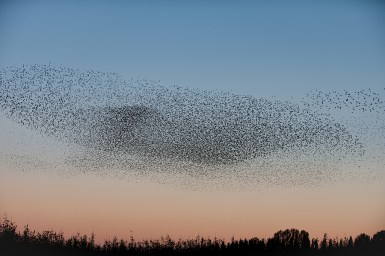 HVDO201010110044283-Edit