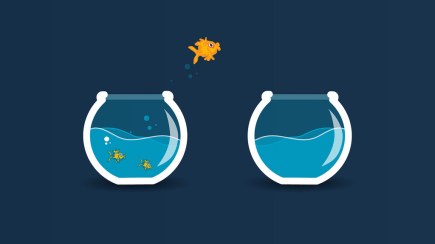 goldfish jumping bowls
