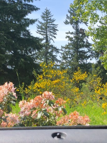 May poetry 2019 out my window