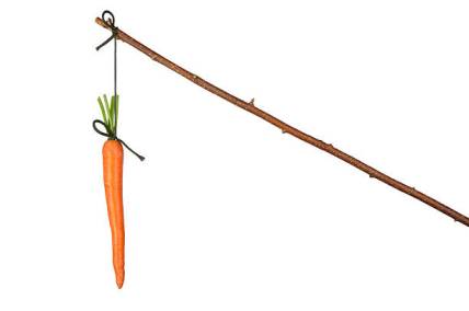Fresh red carrot hanging on white background