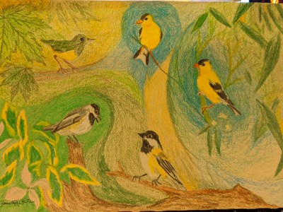 Pam Hobert Carter birds