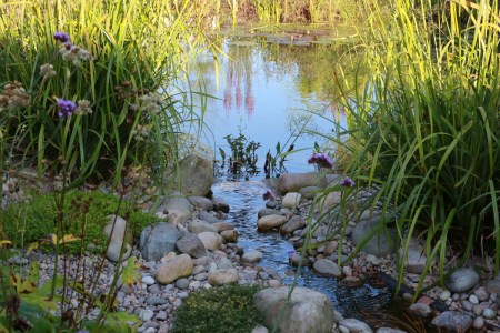 national poetry month 2020 spring